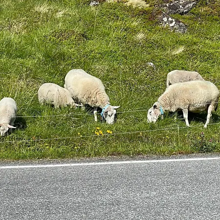 Storhella - Med Fantastisk Beliggenhet